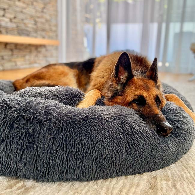 Dog Bed The Original Calming Dog Bed Super Comfy & Anti Anxiety Pet Bed Orthopedic Stress Relief Dog Bed Dog Pillow-gladdween