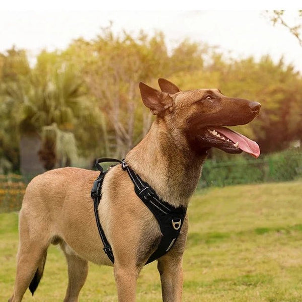 No Pull Dog Harness Adjustable Dog Harness Vest-gladdween