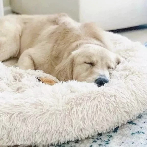 Dog Bed The Original Calming Dog Bed Super Comfy & Anti Anxiety Pet Bed Orthopedic Stress Relief Dog Bed Dog Pillow-gladdween