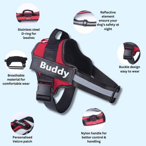 Personalised No Pull Dog Harness
