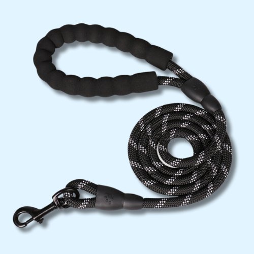 Dog Lead