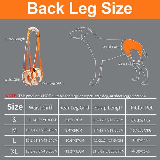 Dog Support Lift Harness for ACL Rehab & Arthritis-gladdween