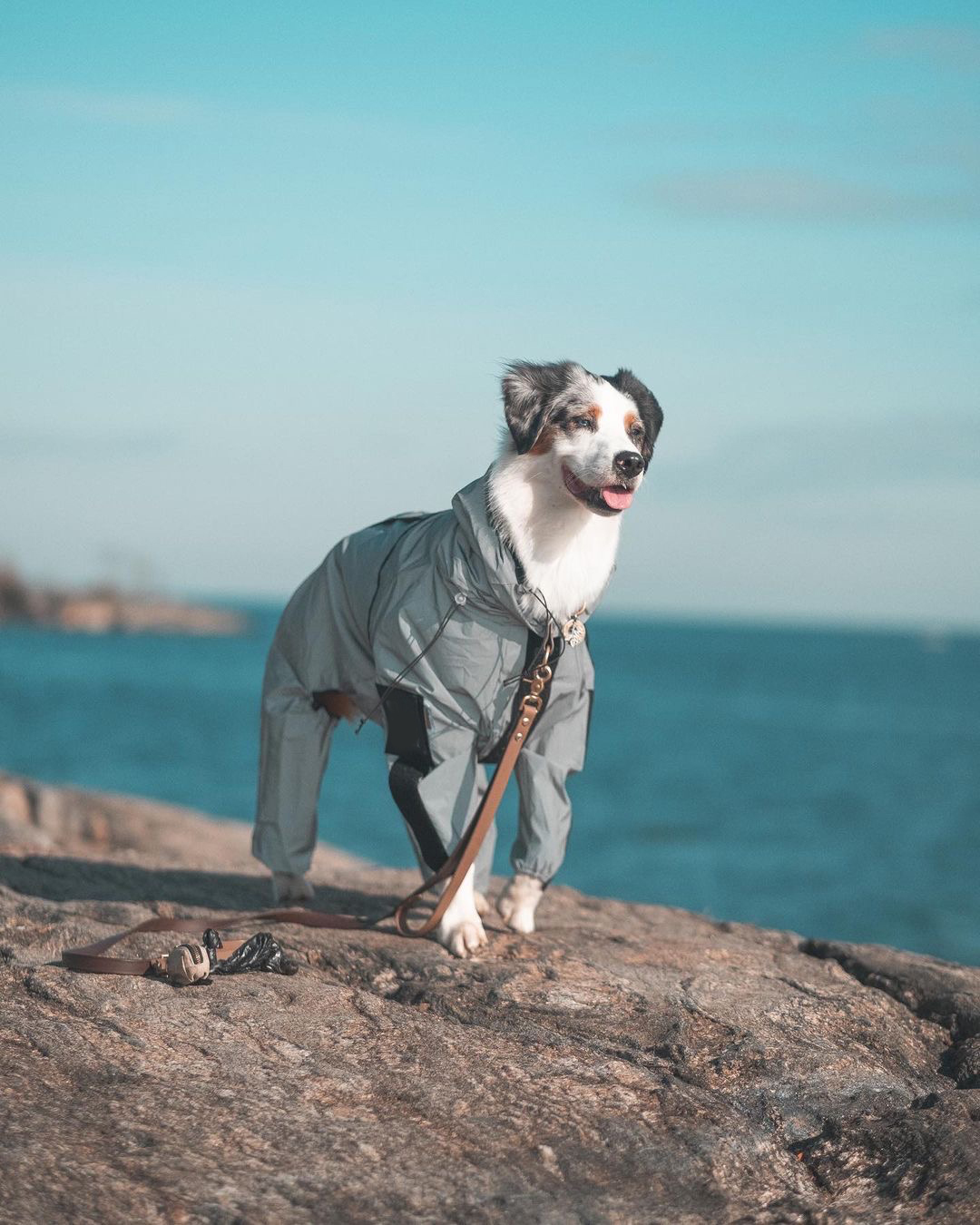 Reflective All-weather Waterproof Space Coat Dog Rain Coat