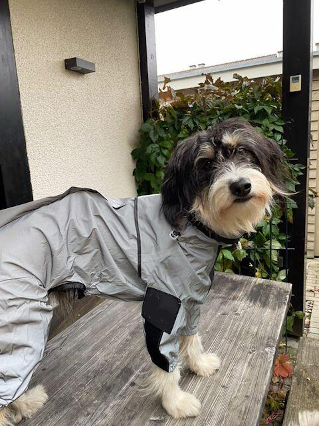 Reflective All-weather Waterproof Space Coat Dog Rain Coat