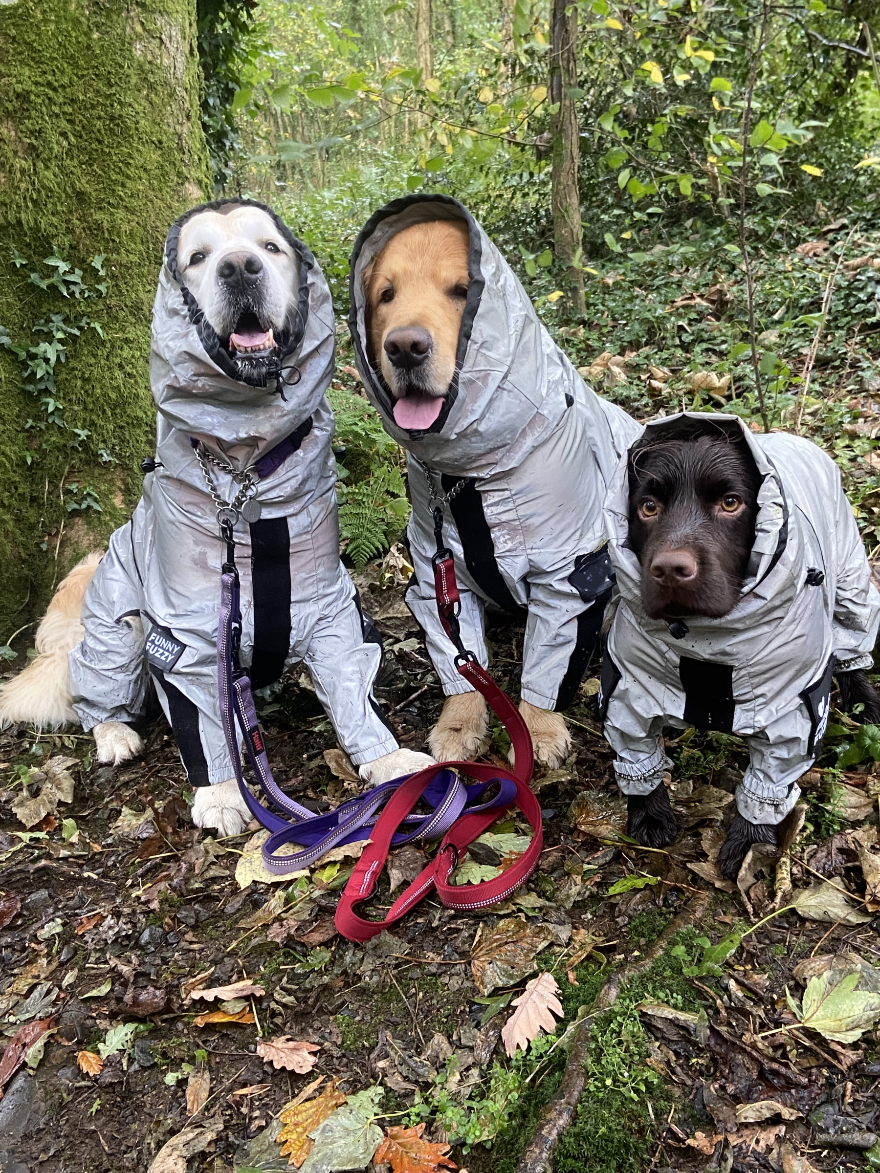 Reflective All-weather Waterproof Space Coat Dog Rain Coat