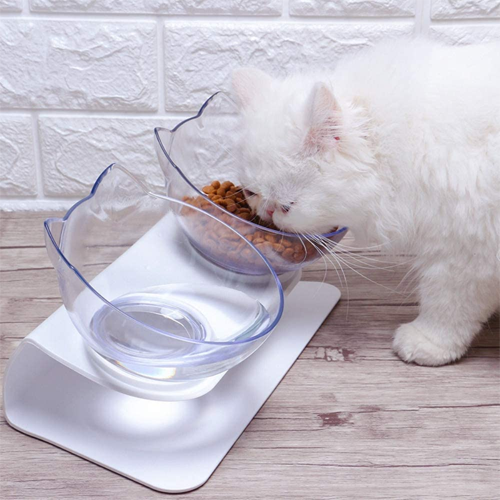 Orthopedic Cat Bowl-gladdween