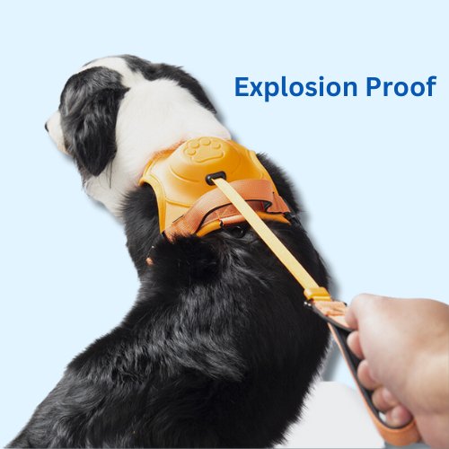 Dog Harness With Inbuilt Leash