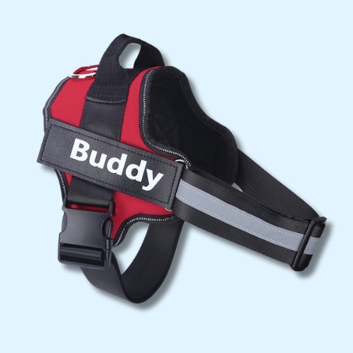 Personalised No Pull Dog Harness