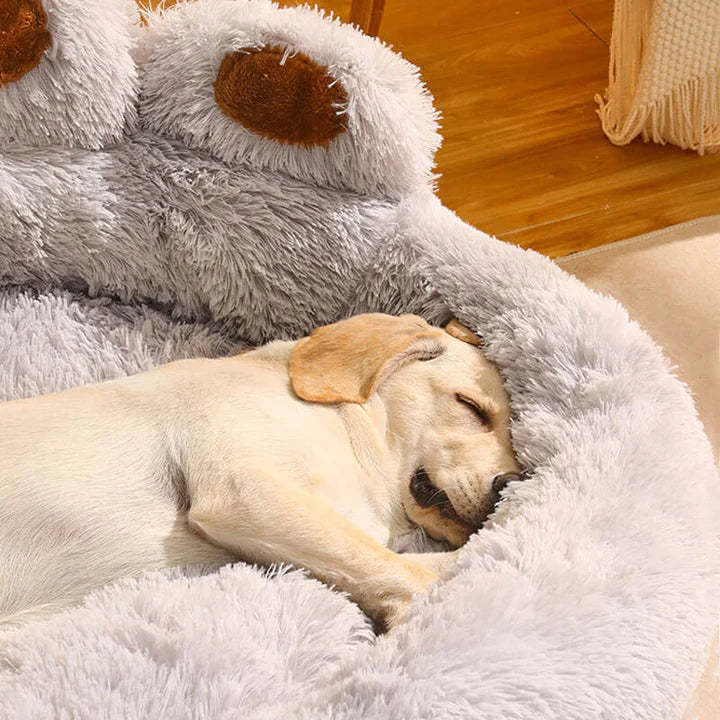 Calming Bear Paw Bed for Pets-gladdween