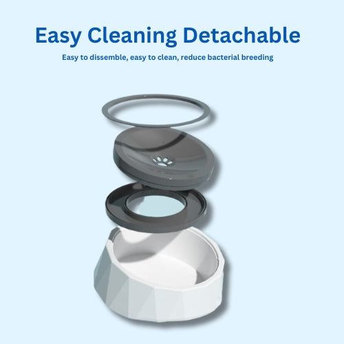 Floating Dog Bowl