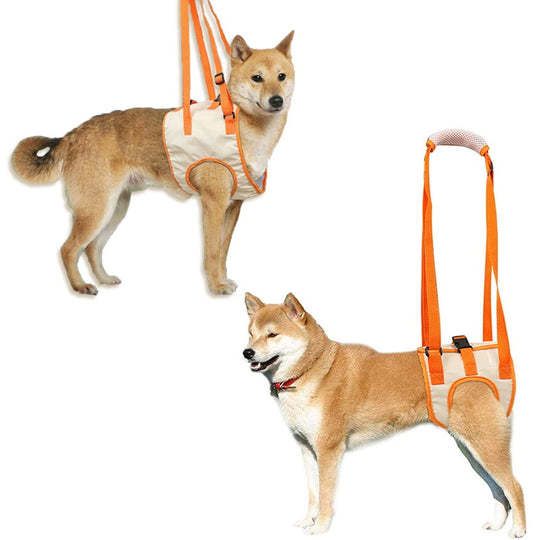 Dog Support Lift Harness for ACL Rehab & Arthritis-gladdween