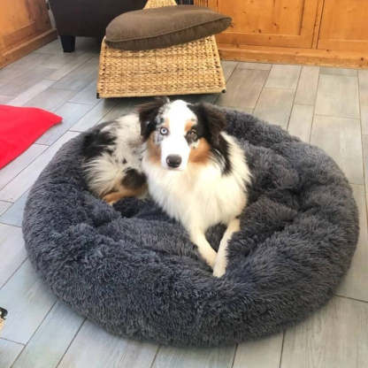Calming Fluffy Cat Bed, Comfy Plush Pet Bed