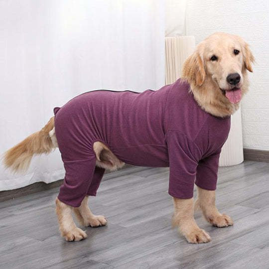 Post-Surgery Care for Dogs: Professional Shirt to Protect Abdominal Wounds  Prevent Licking-gladdween