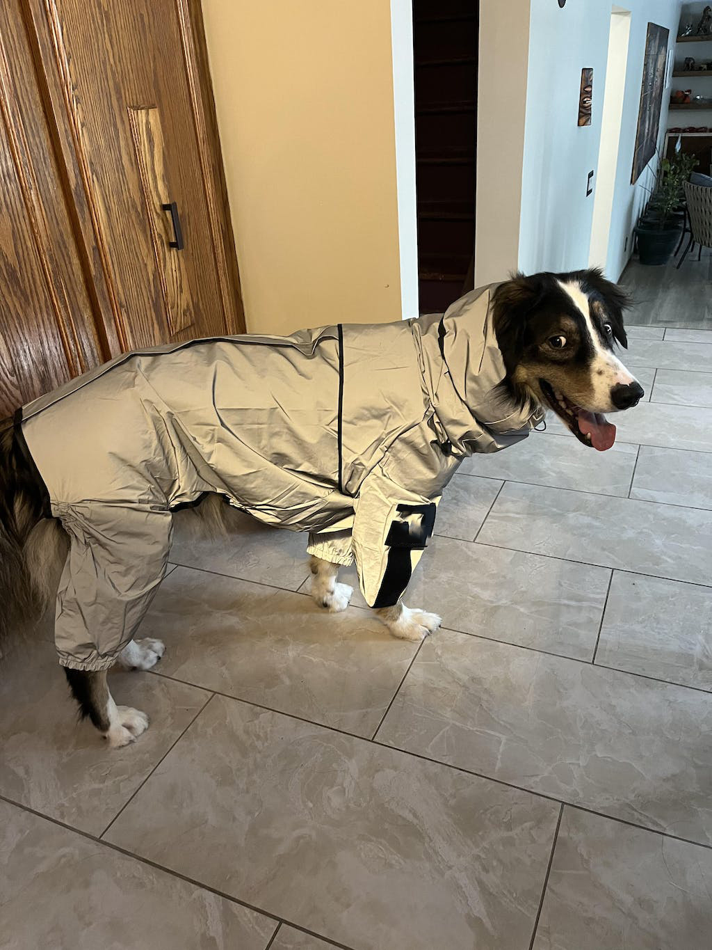 Reflective All-weather Waterproof Space Coat Dog Rain Coat