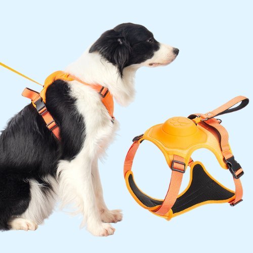 Dog Harness With Inbuilt Leash