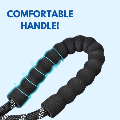 Dog Lead