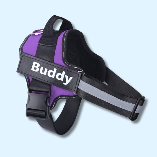 Personalised No Pull Dog Harness