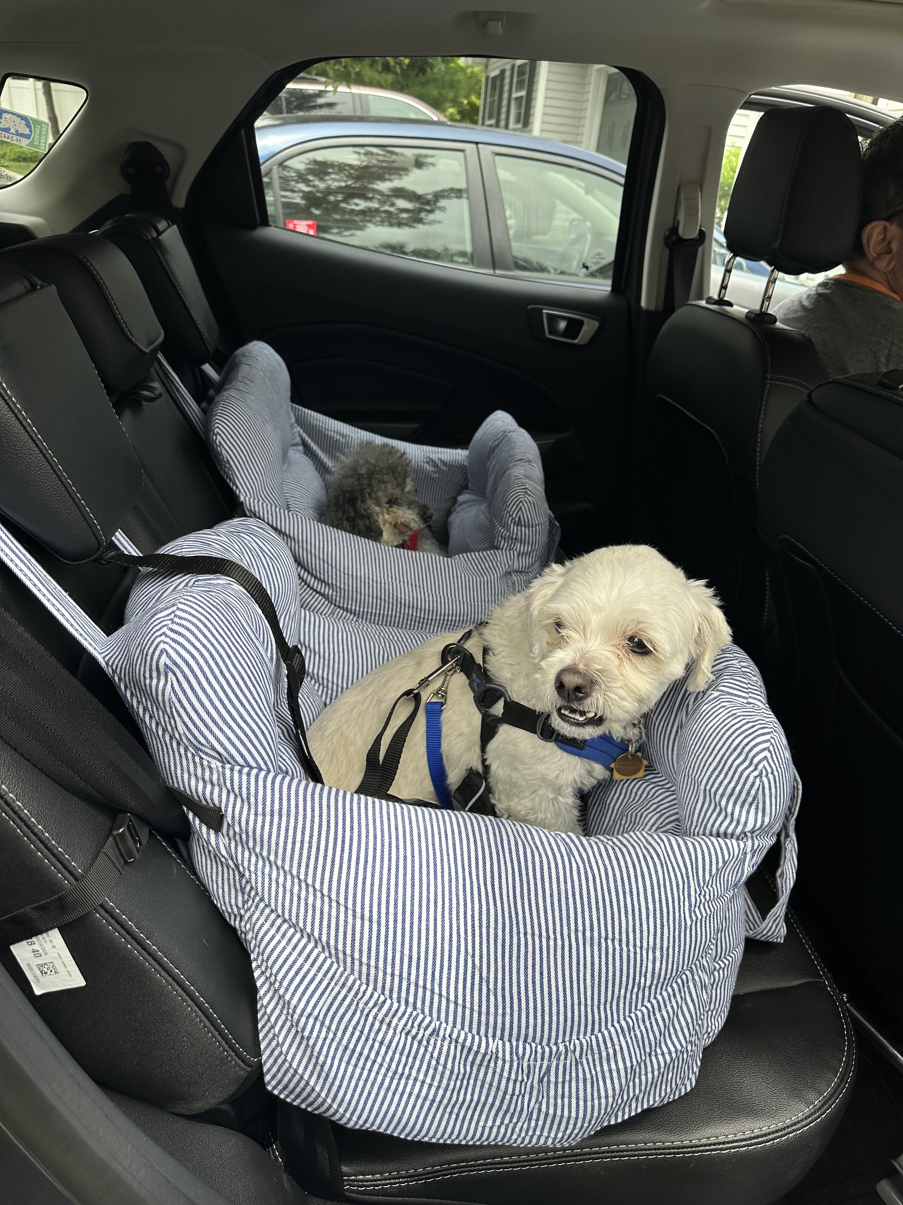 Portable Leisure Outing Pet Booster Dog Car Seat Bed