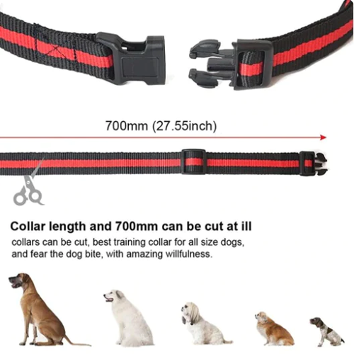 Dog Training Collar-gladdween
