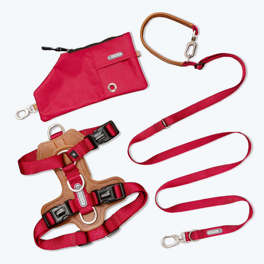 HiDream | Easy Walk Dog Harness