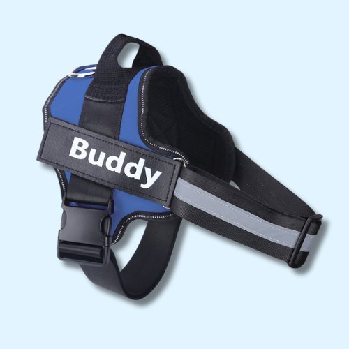 Personalised No Pull Dog Harness