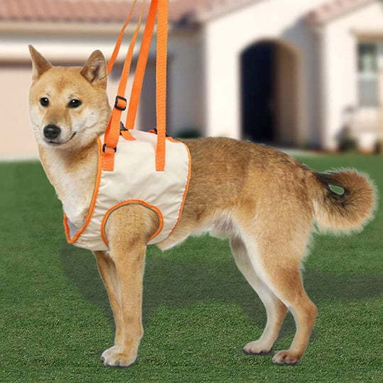 Dog Support Lift Harness for ACL Rehab & Arthritis-gladdween