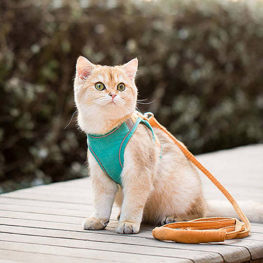 Escape-proof Cat Harness and Leash for Walking-gladdween