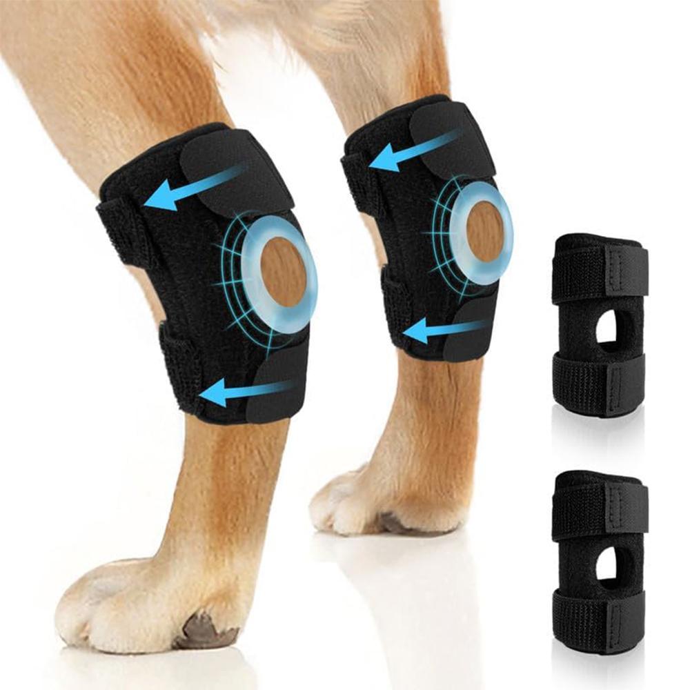Dog Knee Brace Suitable for Recovery of Loss of Stability Caused by Arthritis
