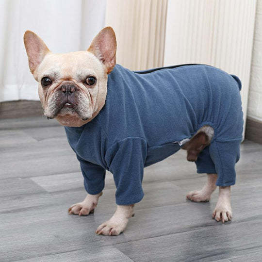 Post-Surgery Care for Dogs: Professional Shirt to Protect Abdominal Wounds  Prevent Licking-gladdween