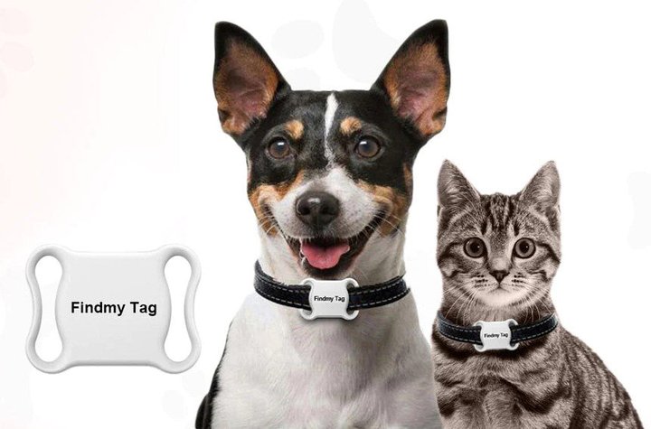 Pet GPS Tracker Gps Dog Collar, Cat & Dog GPS Tracker