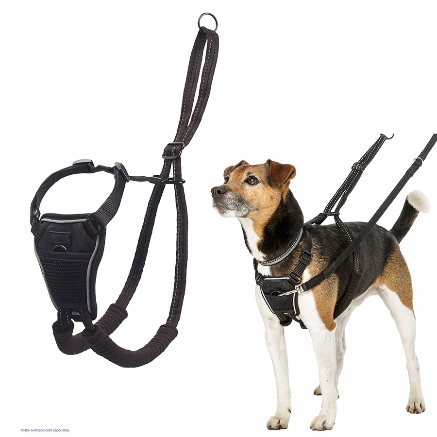 No Pull Dog Harness Double buckle lead rope