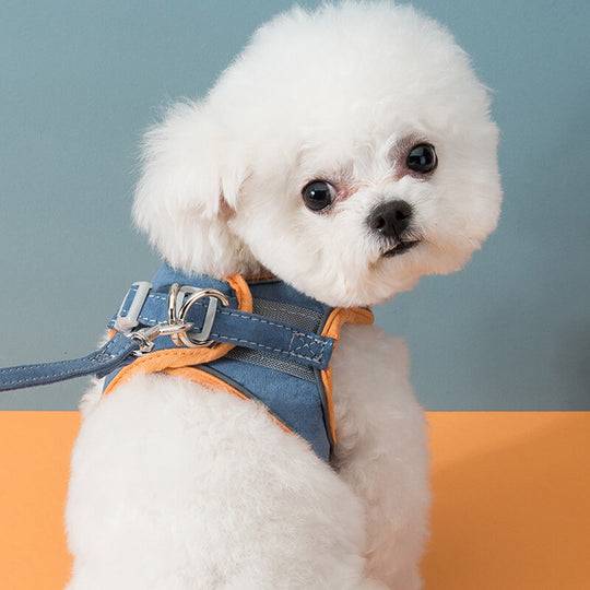 Escape-proof Cat Harness and Leash for Walking-gladdween