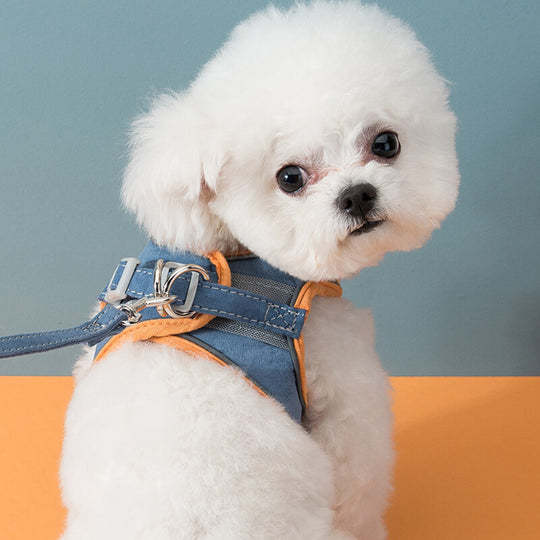 Escape-proof Cat Harness and Leash for Walking-gladdween