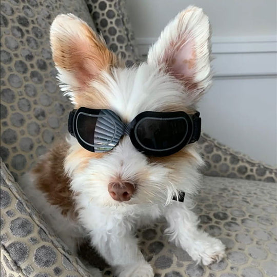 Fashion Reflective Dog Sunglasses for Eye Protection