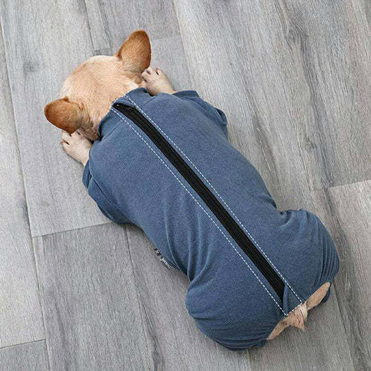 Post-Surgery Care for Dogs: Professional Shirt to Protect Abdominal Wounds  Prevent Licking-gladdween
