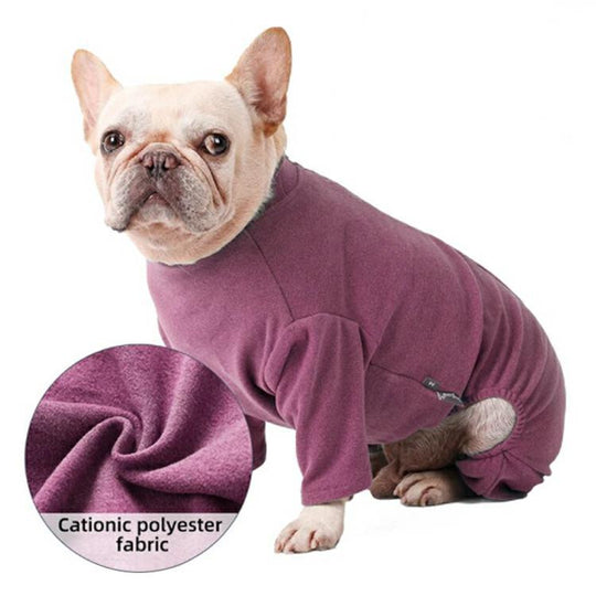 Post-Surgery Care for Dogs: Professional Shirt to Protect Abdominal Wounds  Prevent Licking-gladdween