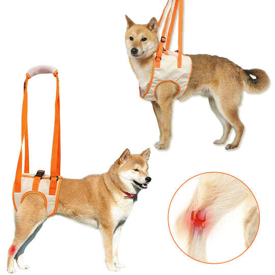 Dog Support Lift Harness for ACL Rehab & Arthritis-gladdween