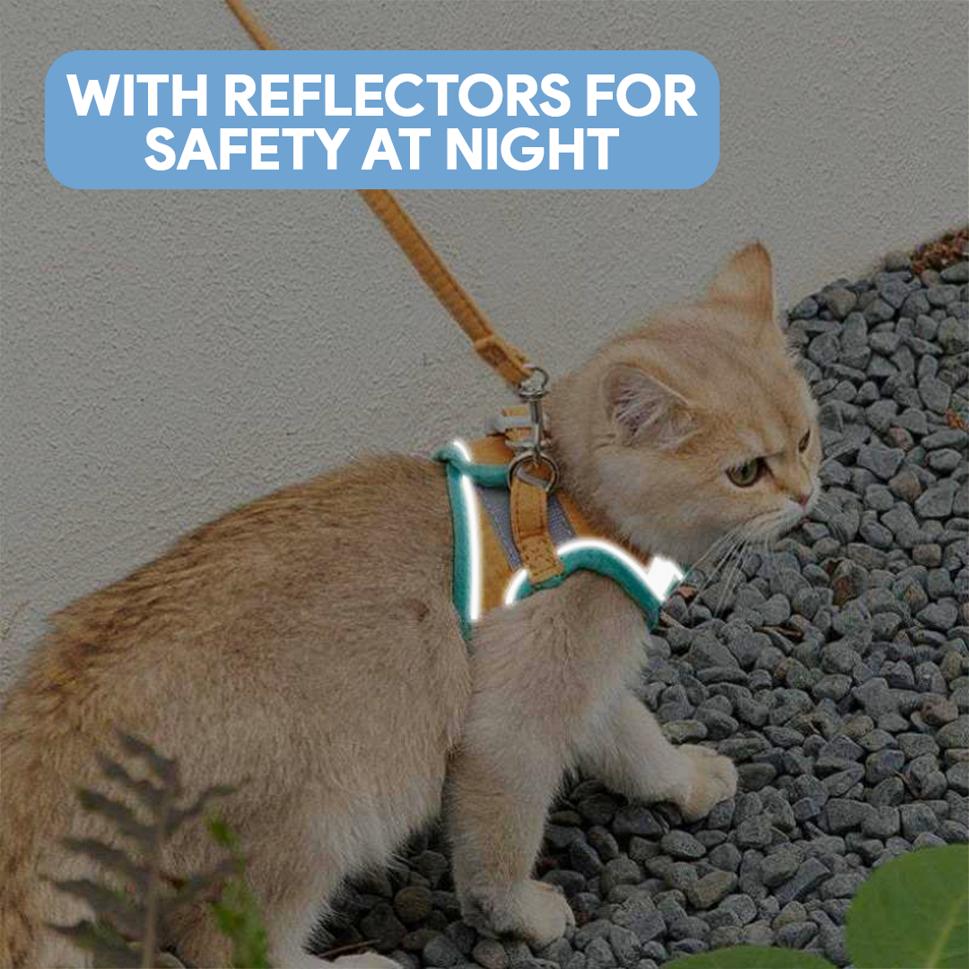 Breathable Cat Harness + Leash