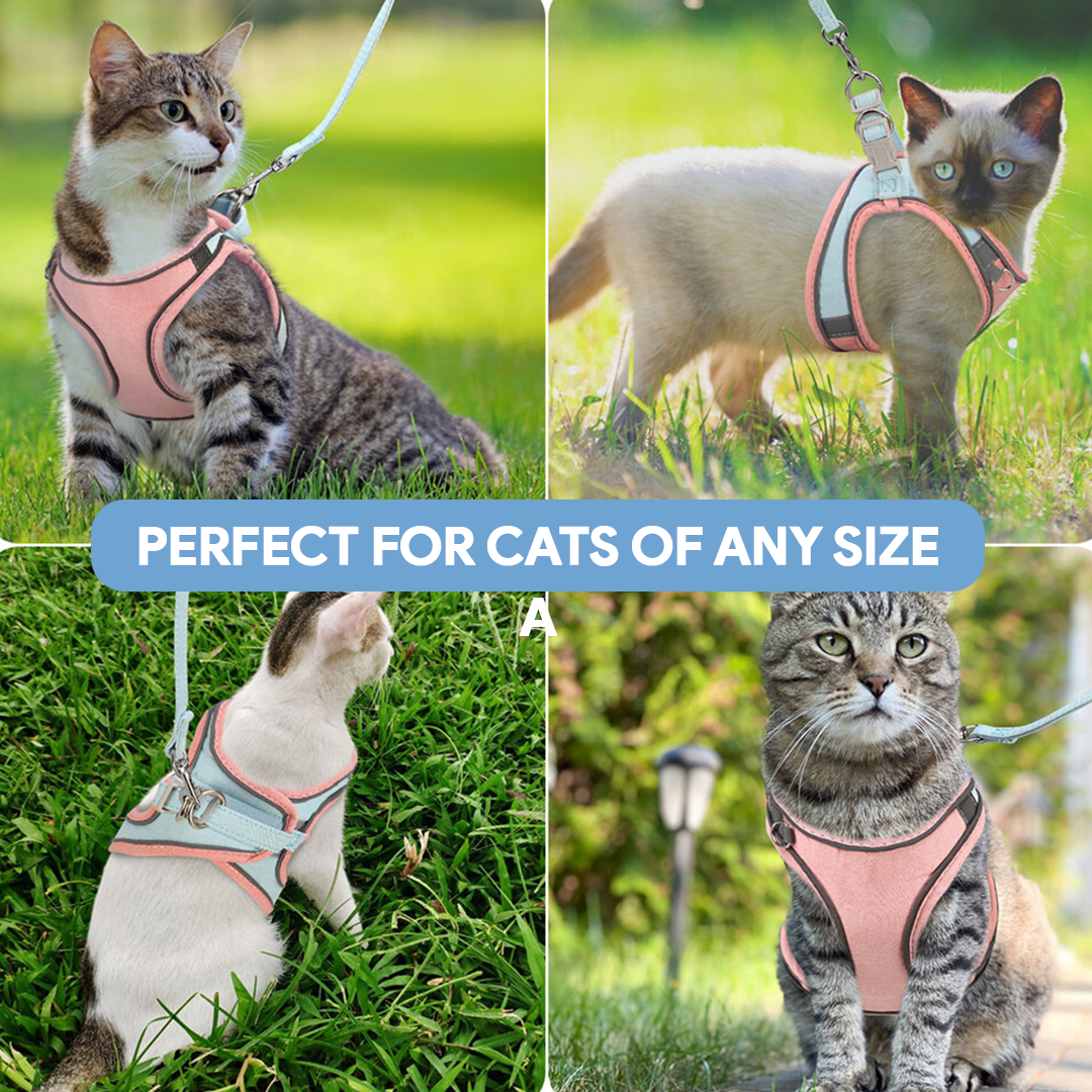 Breathable Cat Harness + Leash