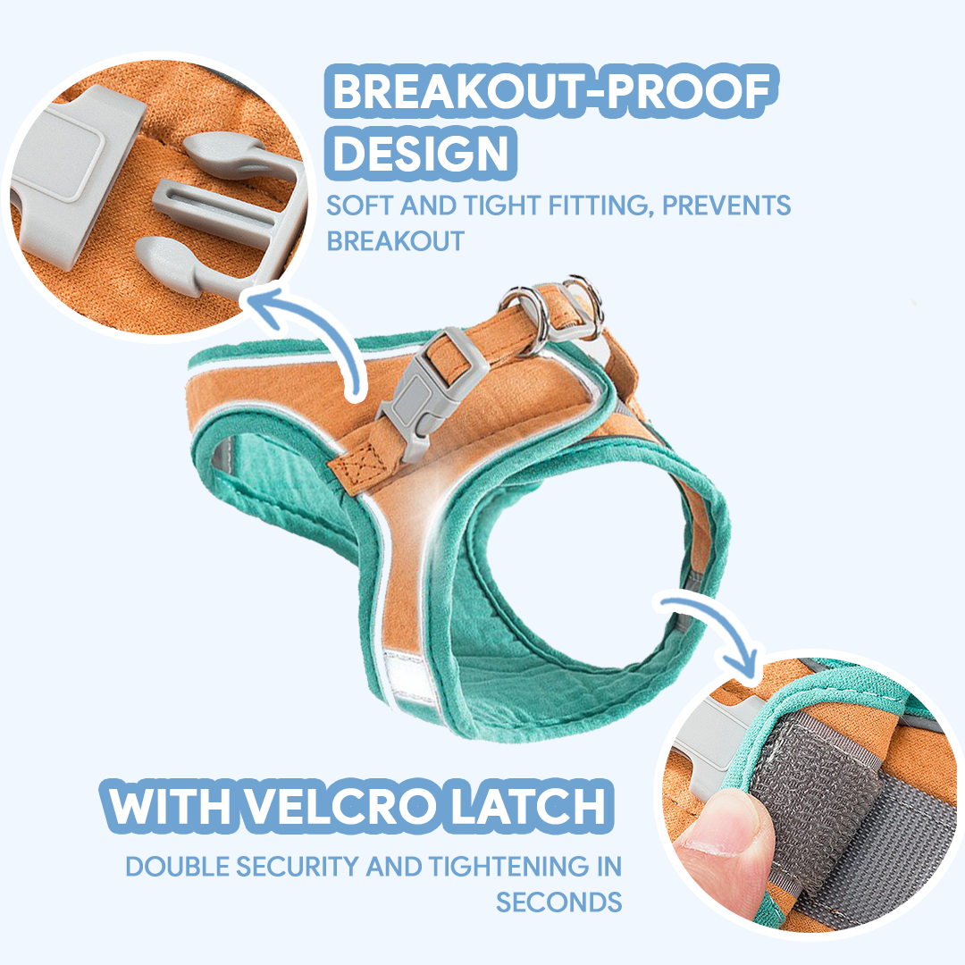 Breathable Cat Harness + Leash