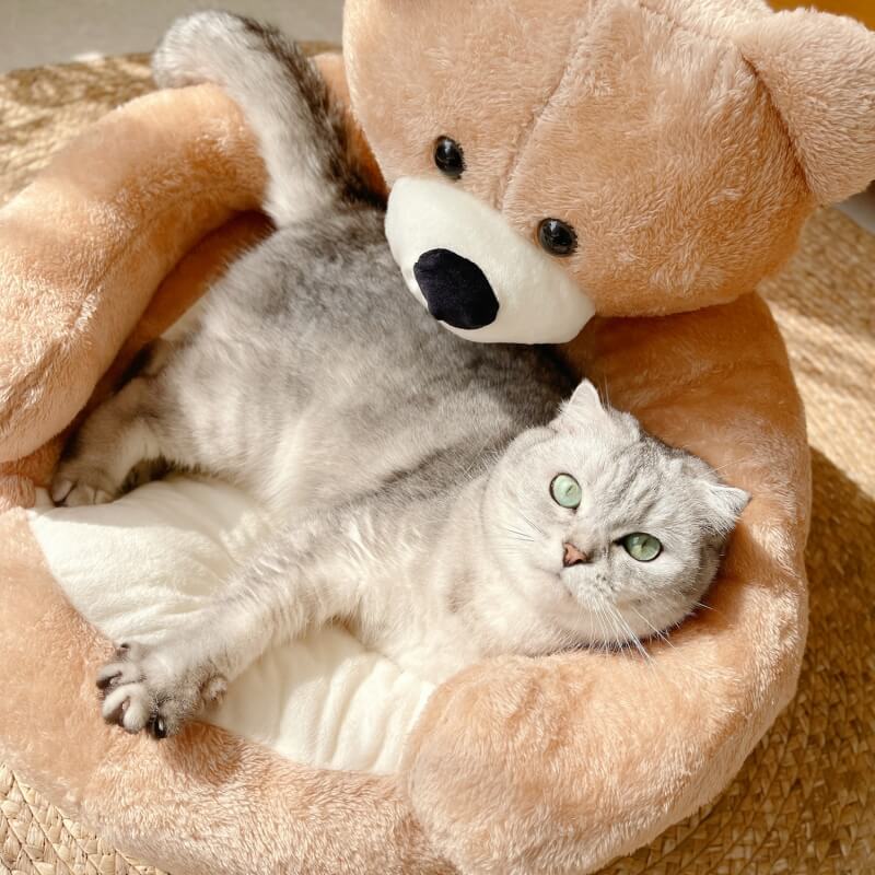 Cute Detachable Cuddle Teddy  Bear Cat Bed