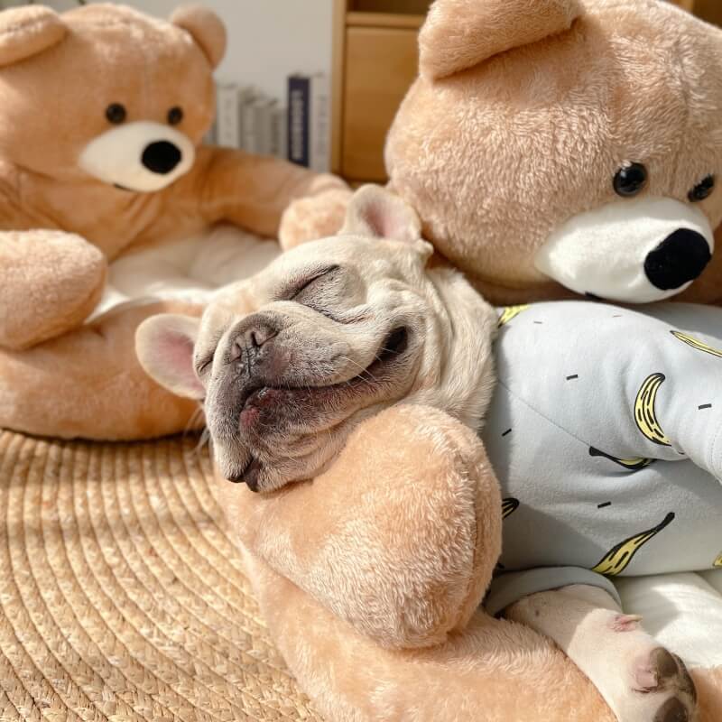 Cute Detachable Cuddle Teddy  Bear Cat Bed