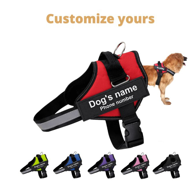 Ultimate Personalized No Pull Dog Harness