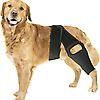 Dog Hip Knee Brace for Torn ACL