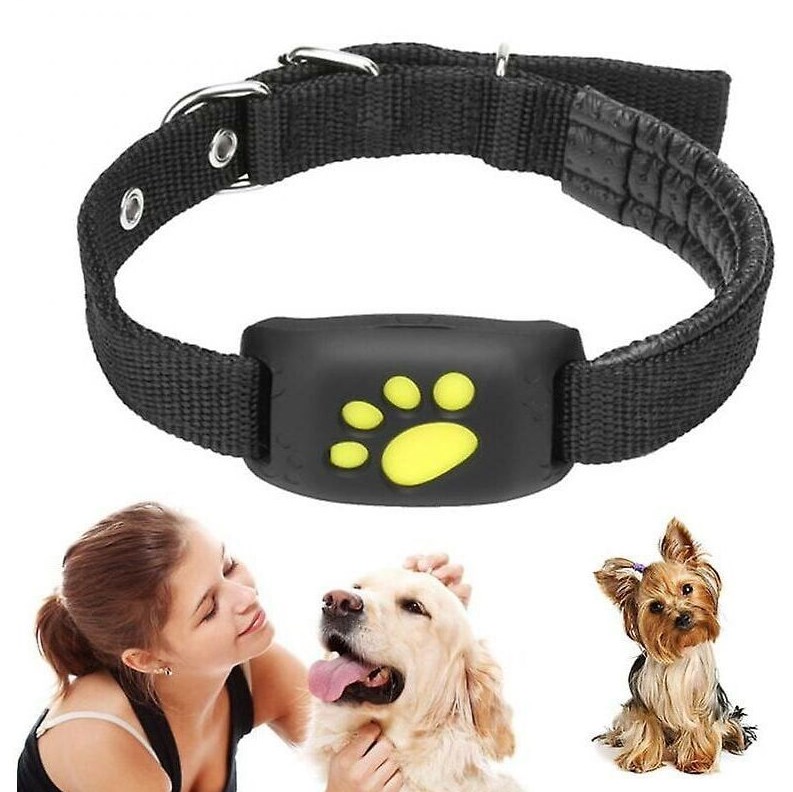 Real-Time Dog Cat GPS Tracker Collar
