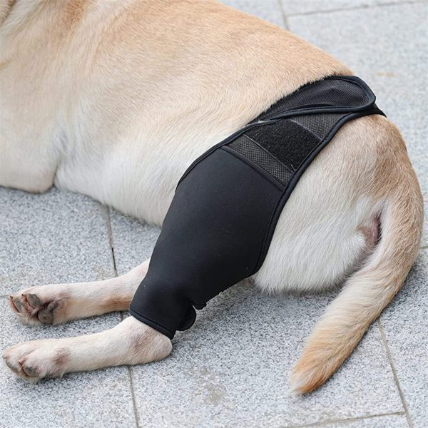 Dog Knee Brace for Luxating Patella
