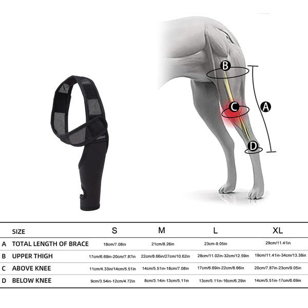 Dog Knee Brace for Luxating Patella