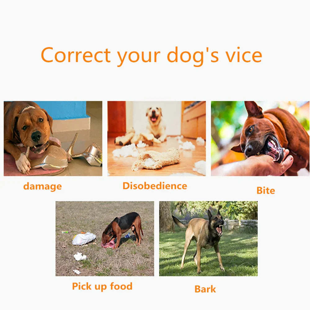 Dog Training Collar Electric Shock Collar Remote Controlled