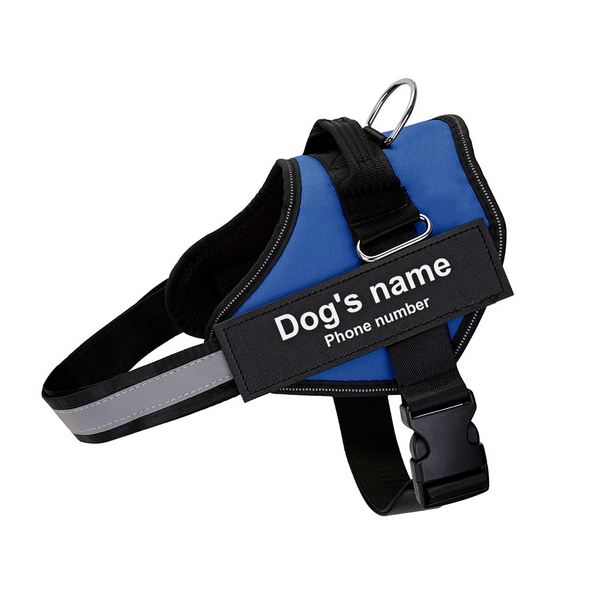 Ultimate Personalized No Pull Dog Harness