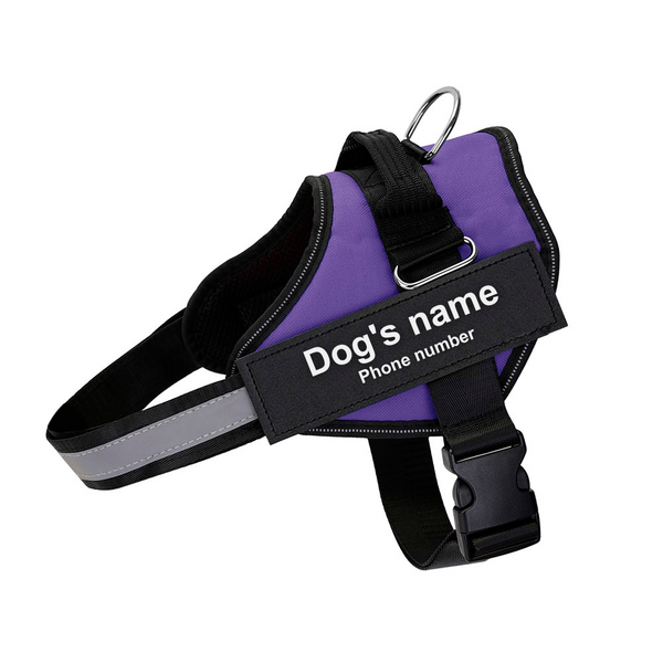 Ultimate Personalized No Pull Dog Harness